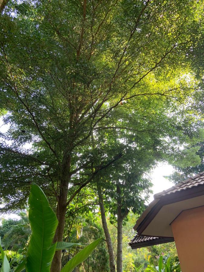 Khao Yai Cottage Mu Si Exteriör bild